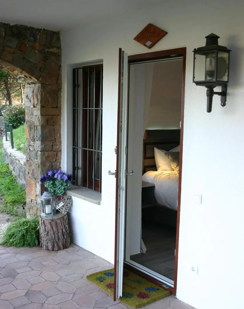 Bed & Breakfast B&B Premium Premia De Dalt Spain