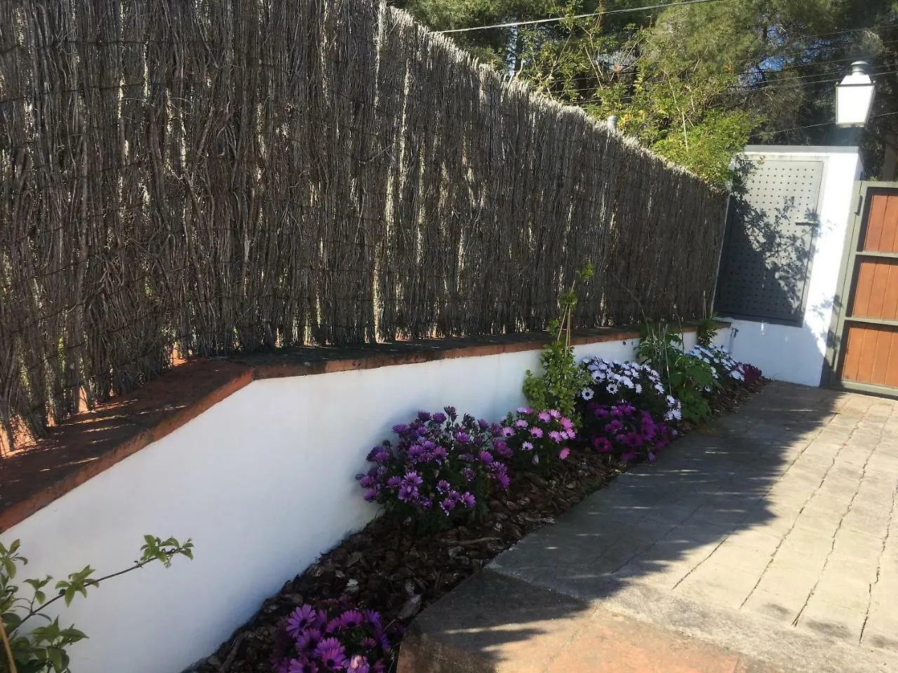 B&B Premium Premia De Dalt Spain